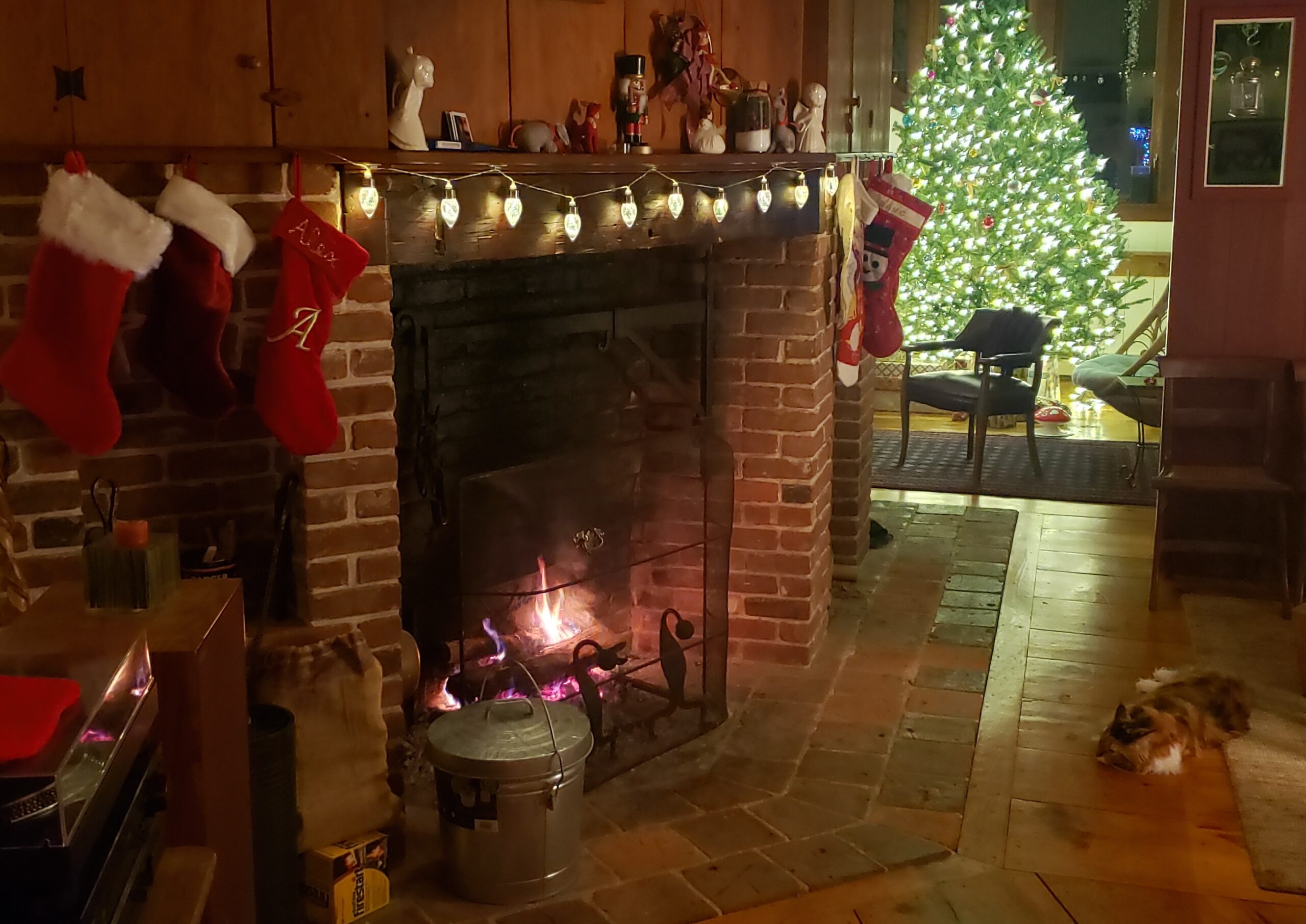 Christmas come to stay: a holiday song